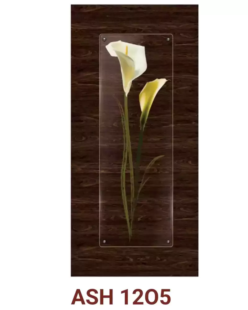 Laminated Decorative Flashdoors